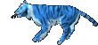 Wild Tiger
